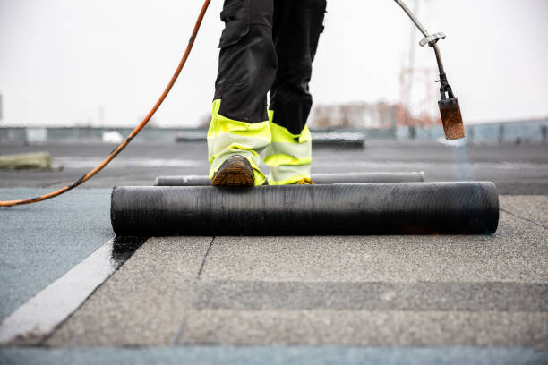Best Roof Moss and Algae Removal  in Carroll Valley, PA